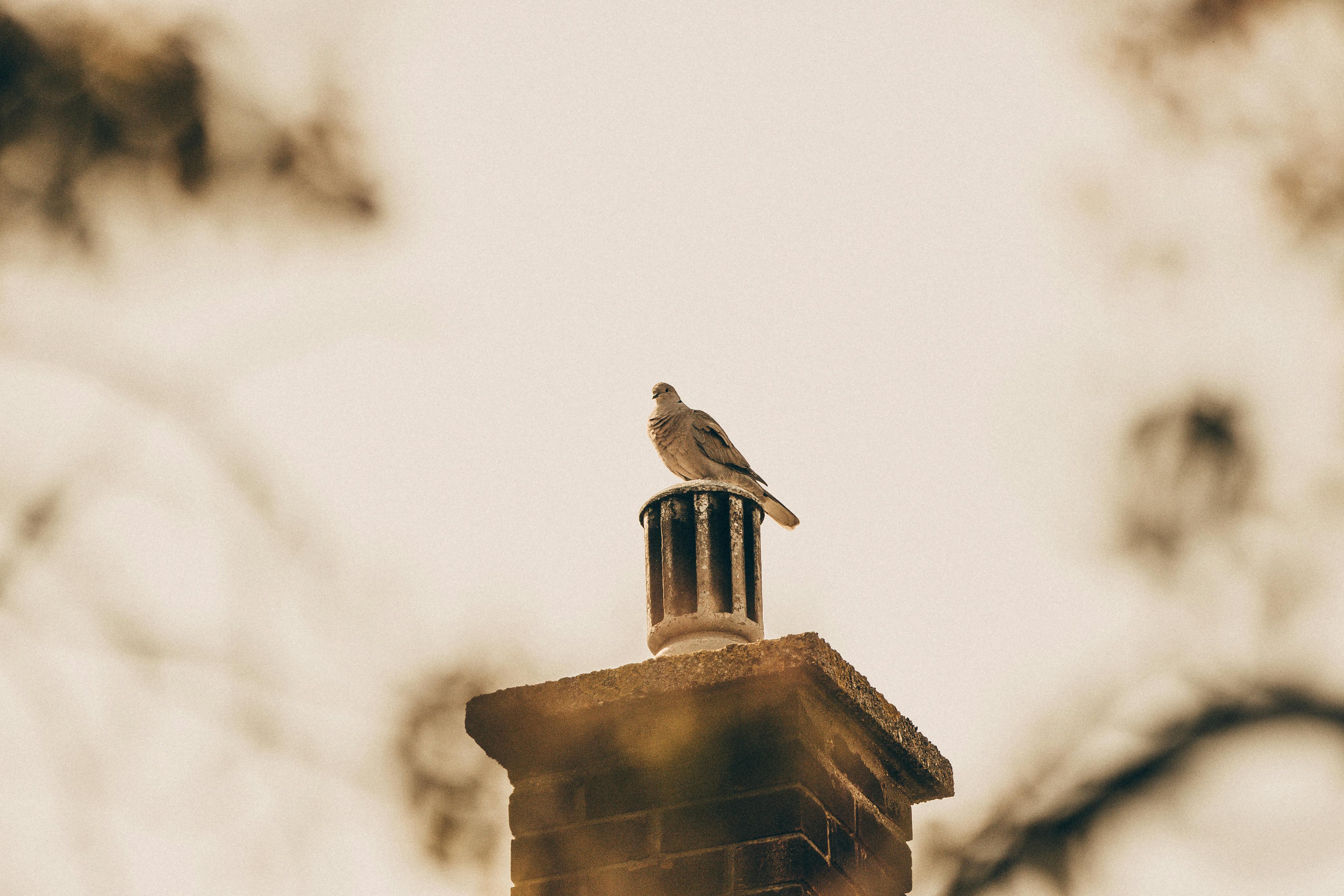 Expert Chimney Cap Installation in Burbank, Illinois